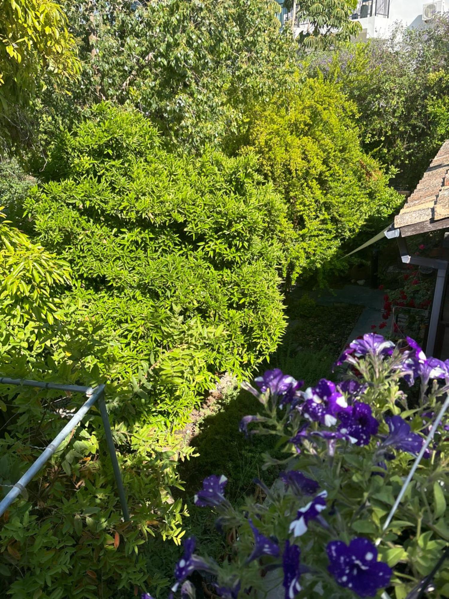 Вилла Vasilion Agrotourism Полис Экстерьер фото